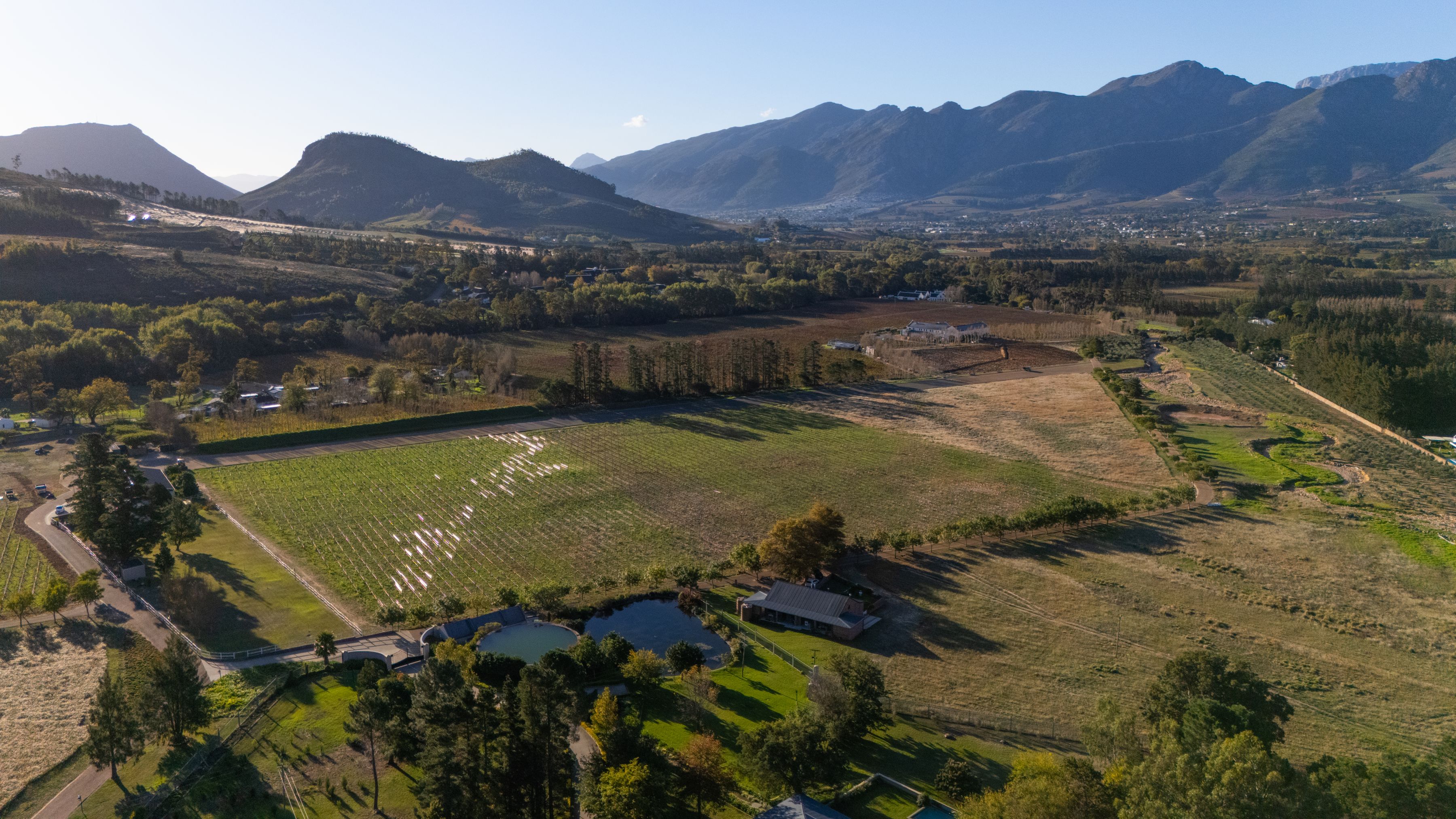 Belle Montagne Wine