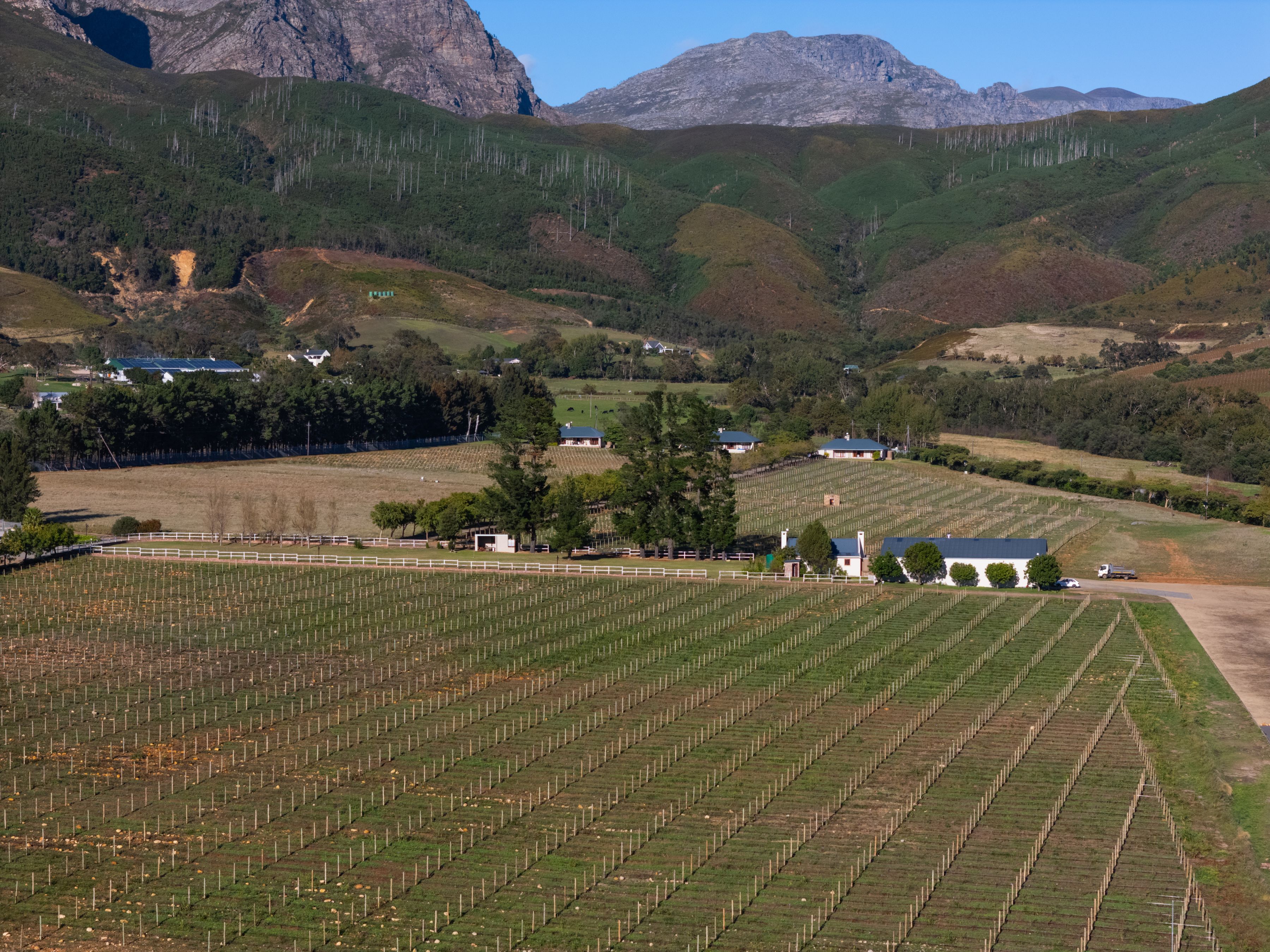 Belle Montagne Wine