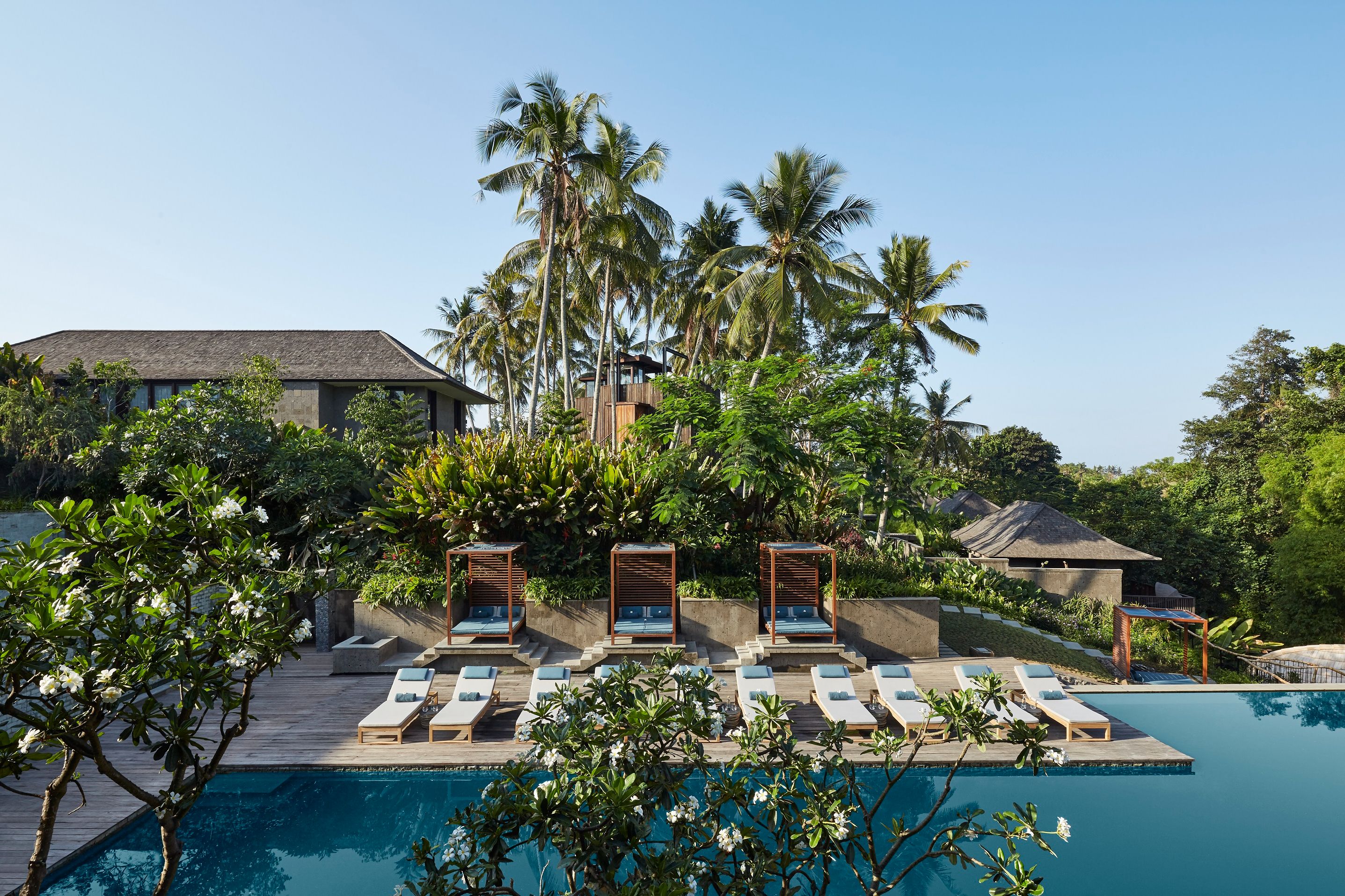 Nirjhara, a blend of modern architecture, beautiful scenery, Swimming Pool Public area