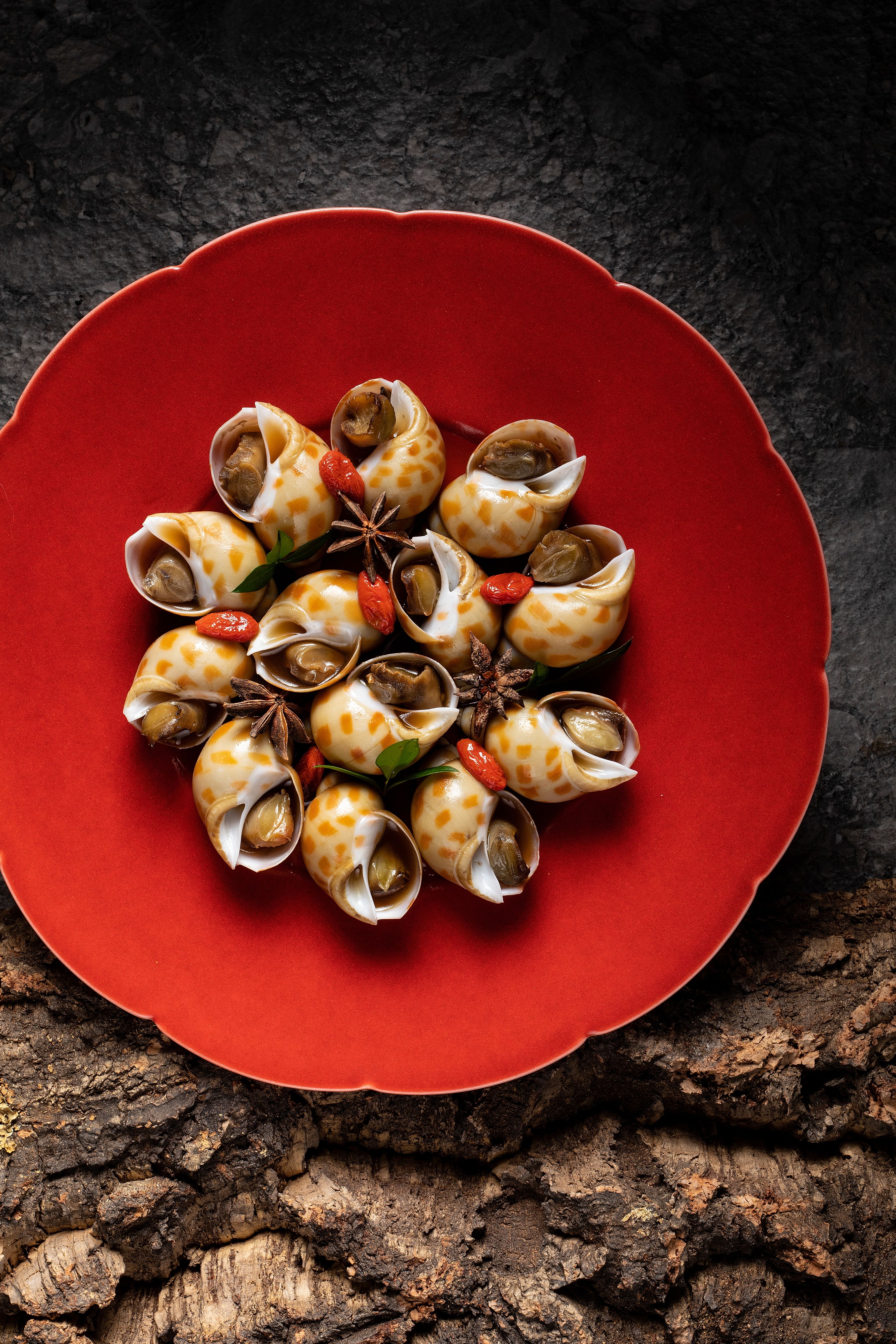 WING - Drunken Sea Snails