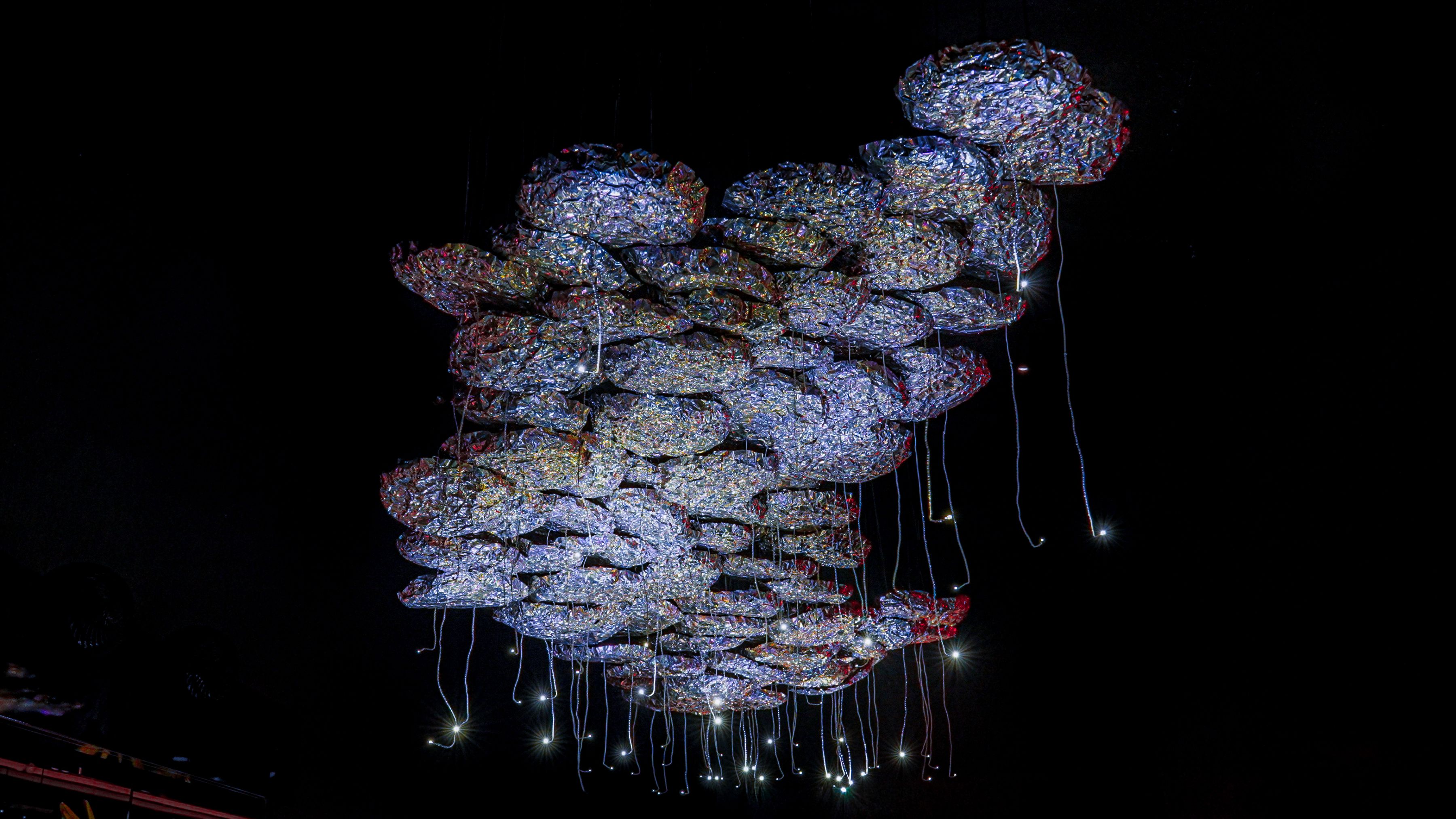 Light Fossils Kyoto Biovortex