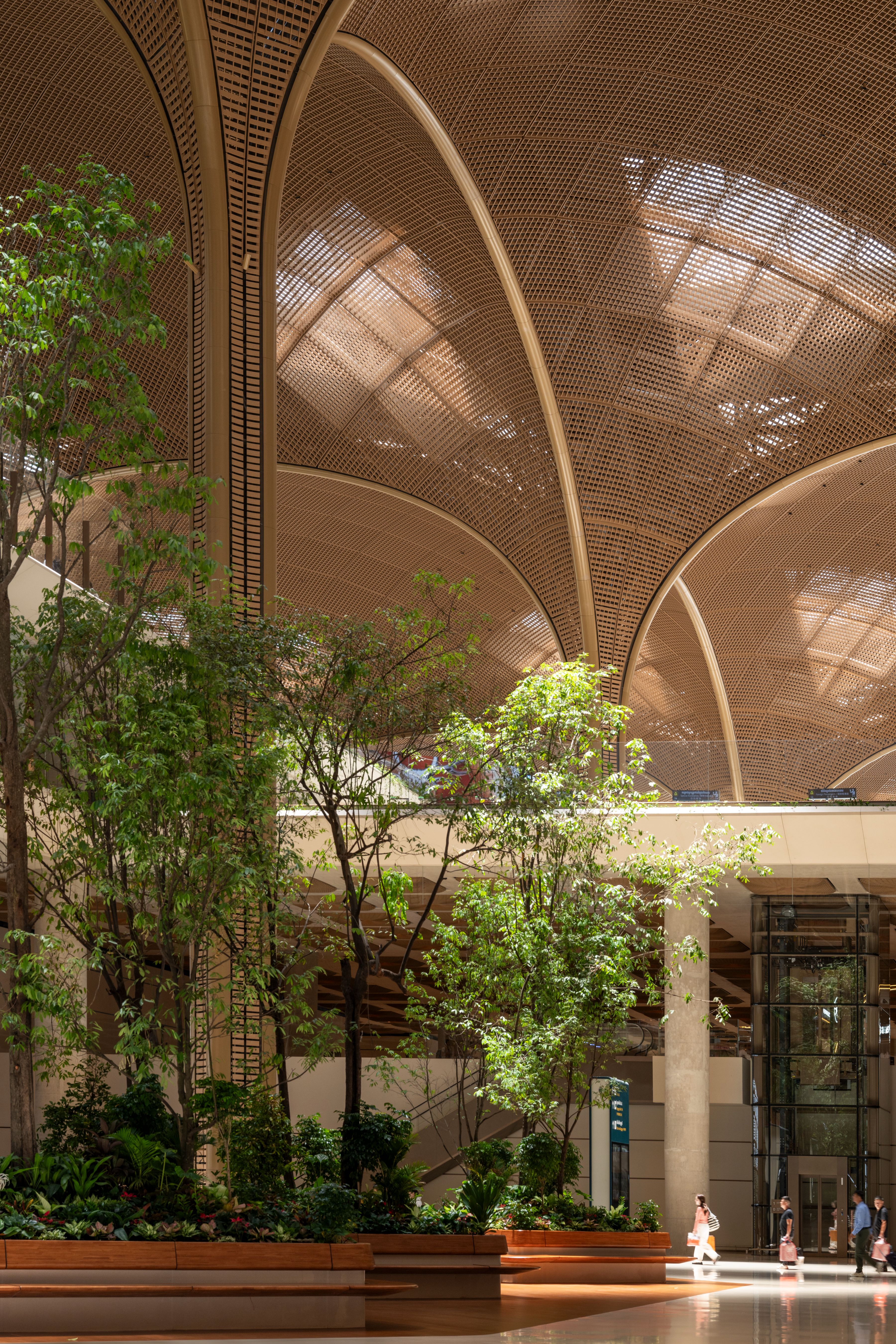 Greenery follows the passenger journey through the terminal, with native Romduol trees rising within the soaring central void, alongside local palms and flowers.