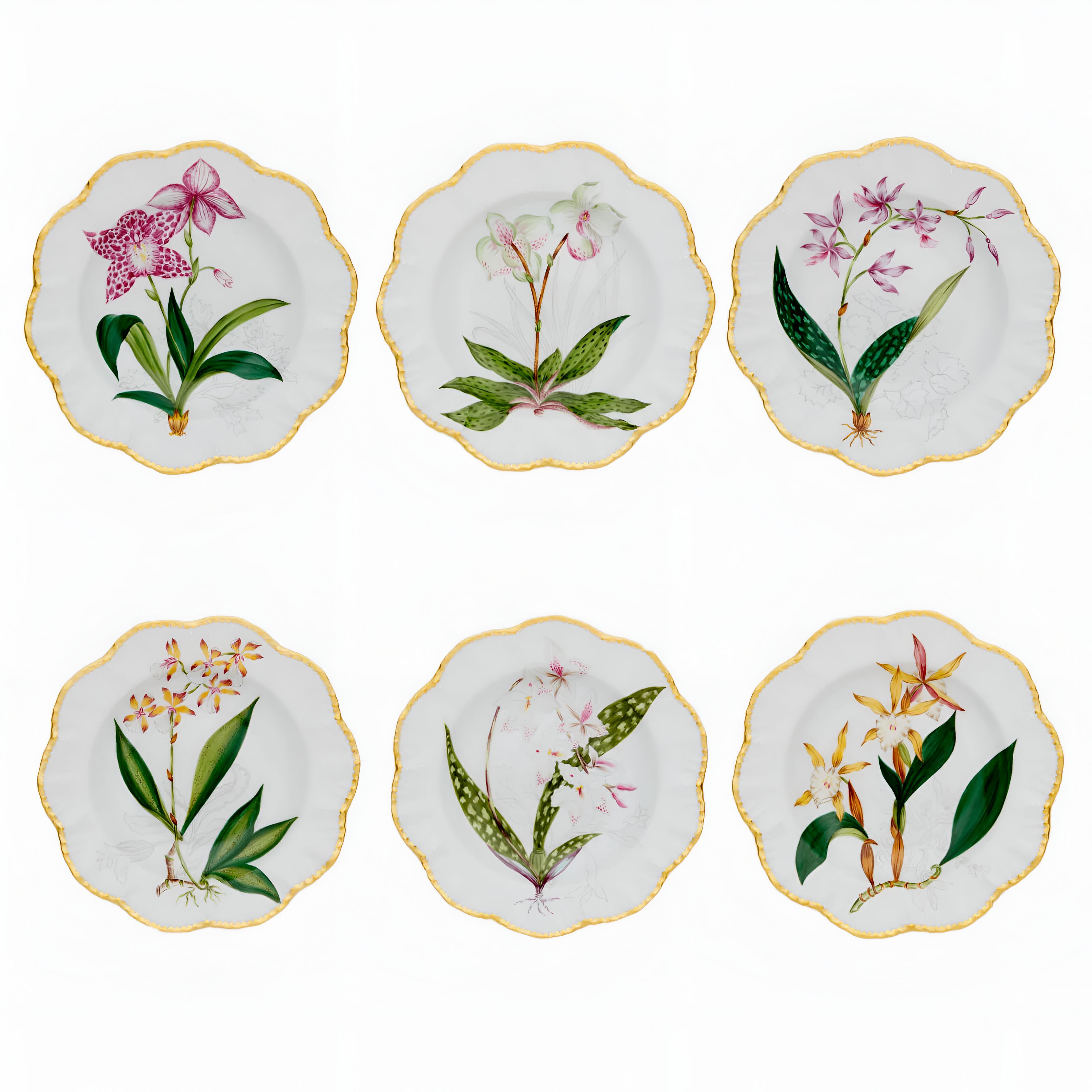 Histoires d'Orchidées Soup Plates - Set of 6