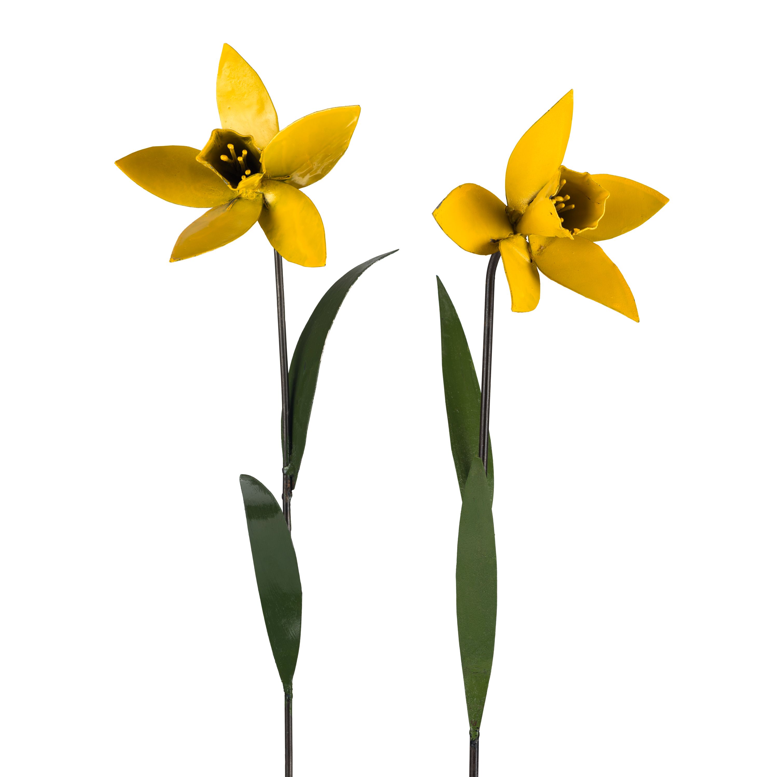 National Trust Shop Garden Accessories - Daffodil Plant stake