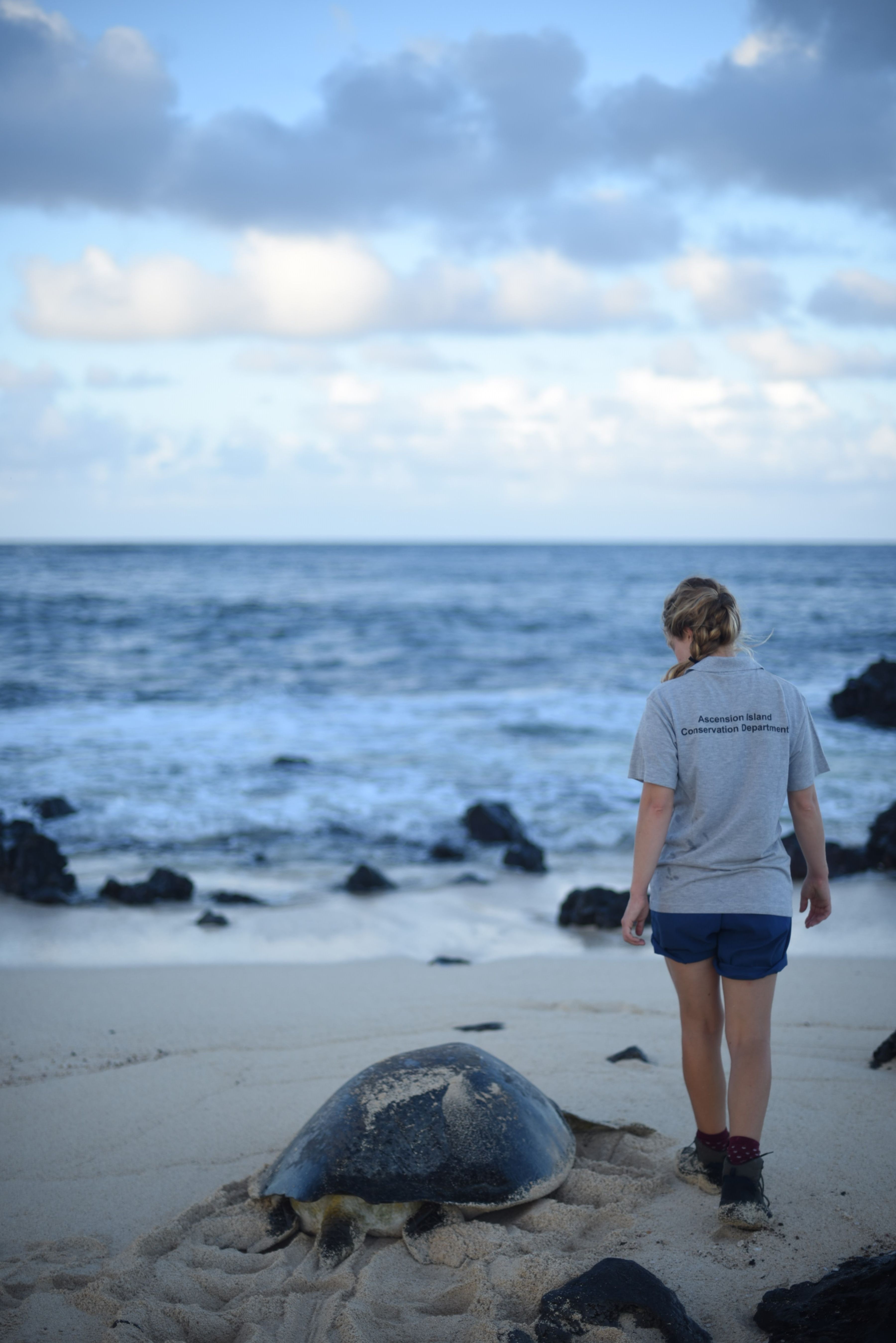Blue Marine Foundation - Ascension Island