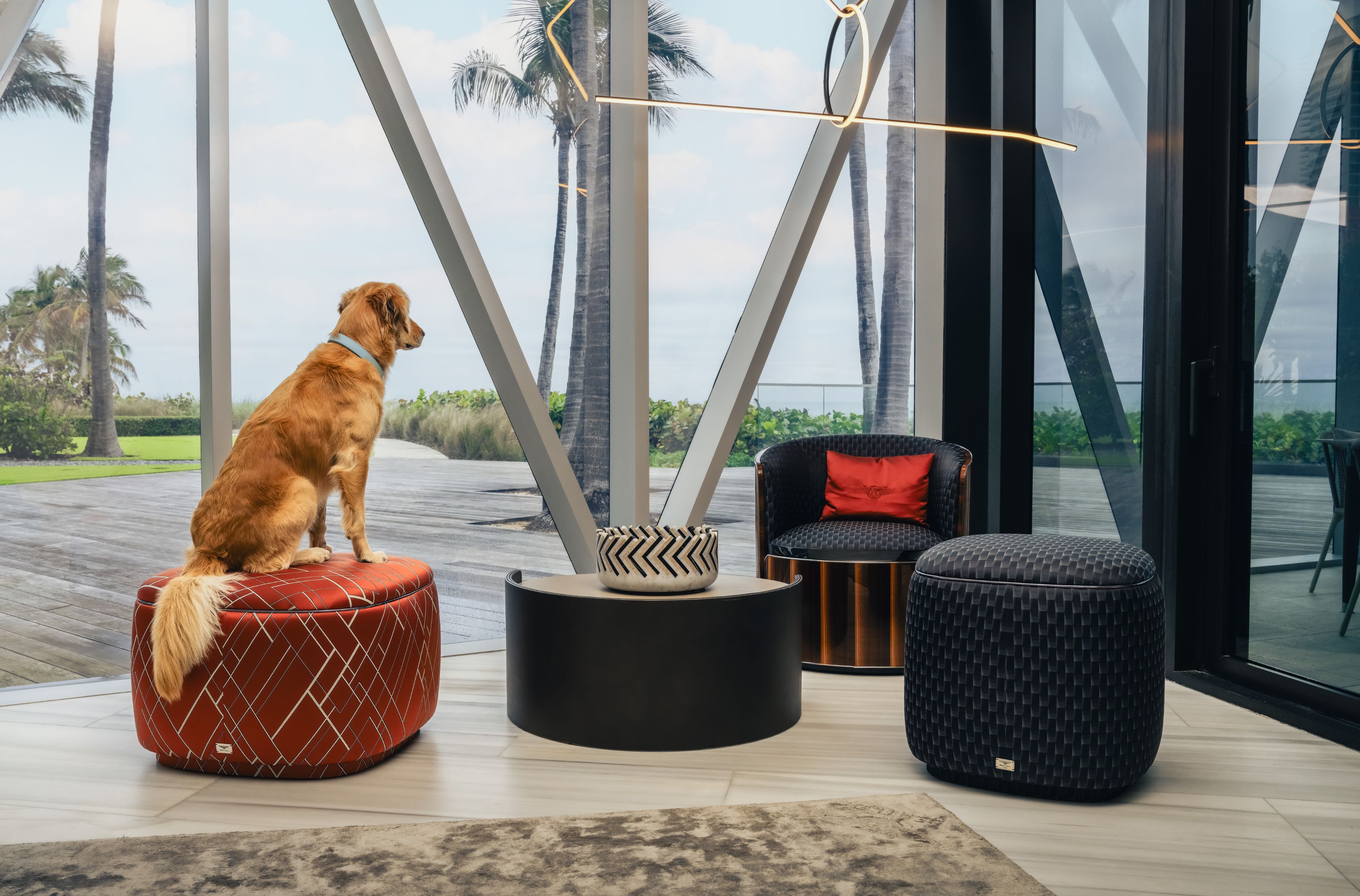 Caption: Pet Spa – Bentley Residences, Sunny Isles Beach, Miami
