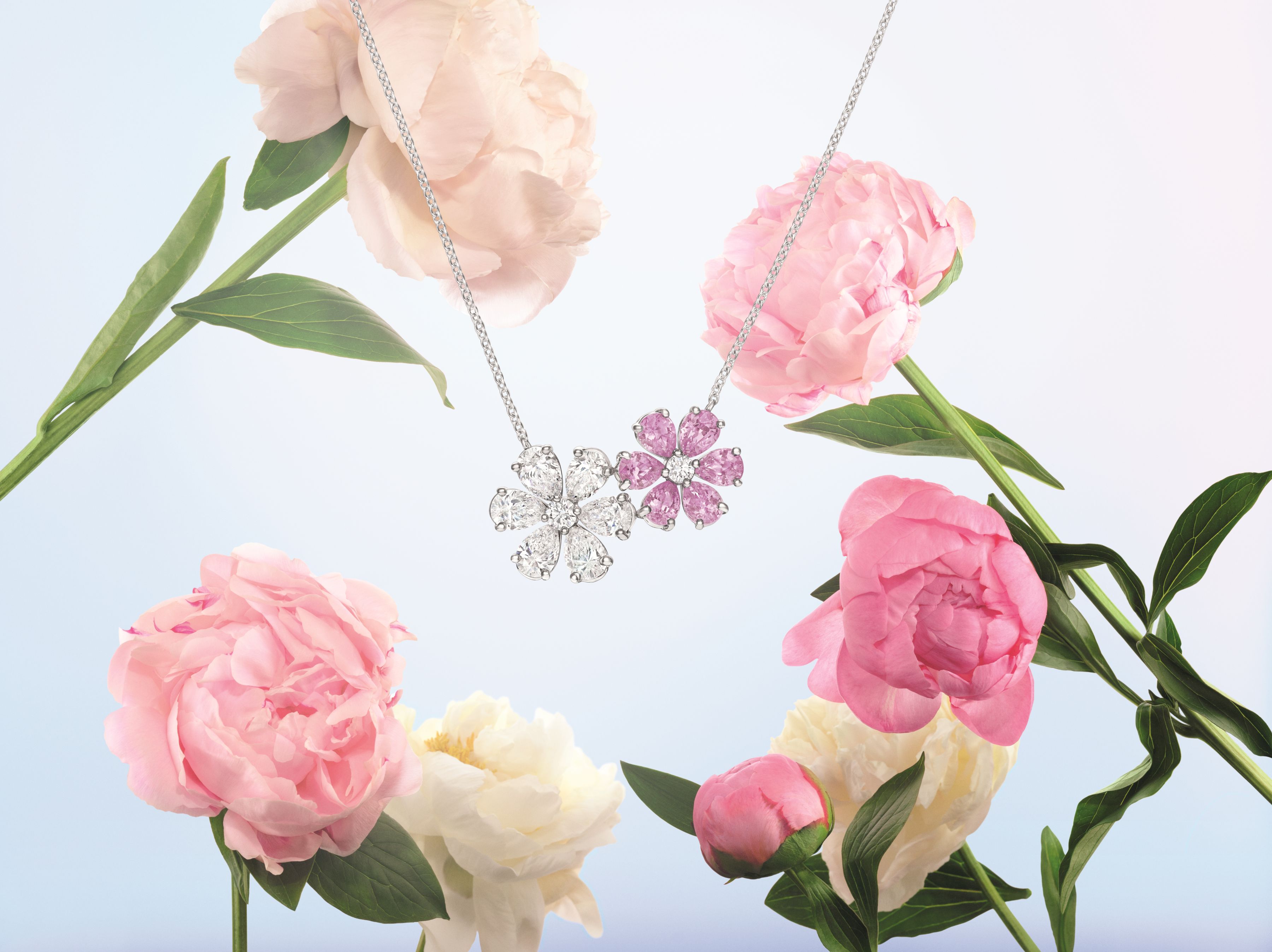 Harry Winston Jewelry Forget-Me-Not Collection