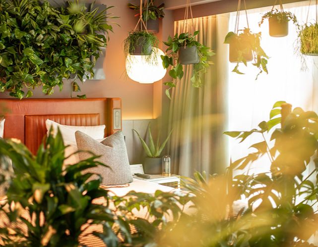 Kimpton Blythwood Square, Glasgow, Scotland - La Chambre Verte