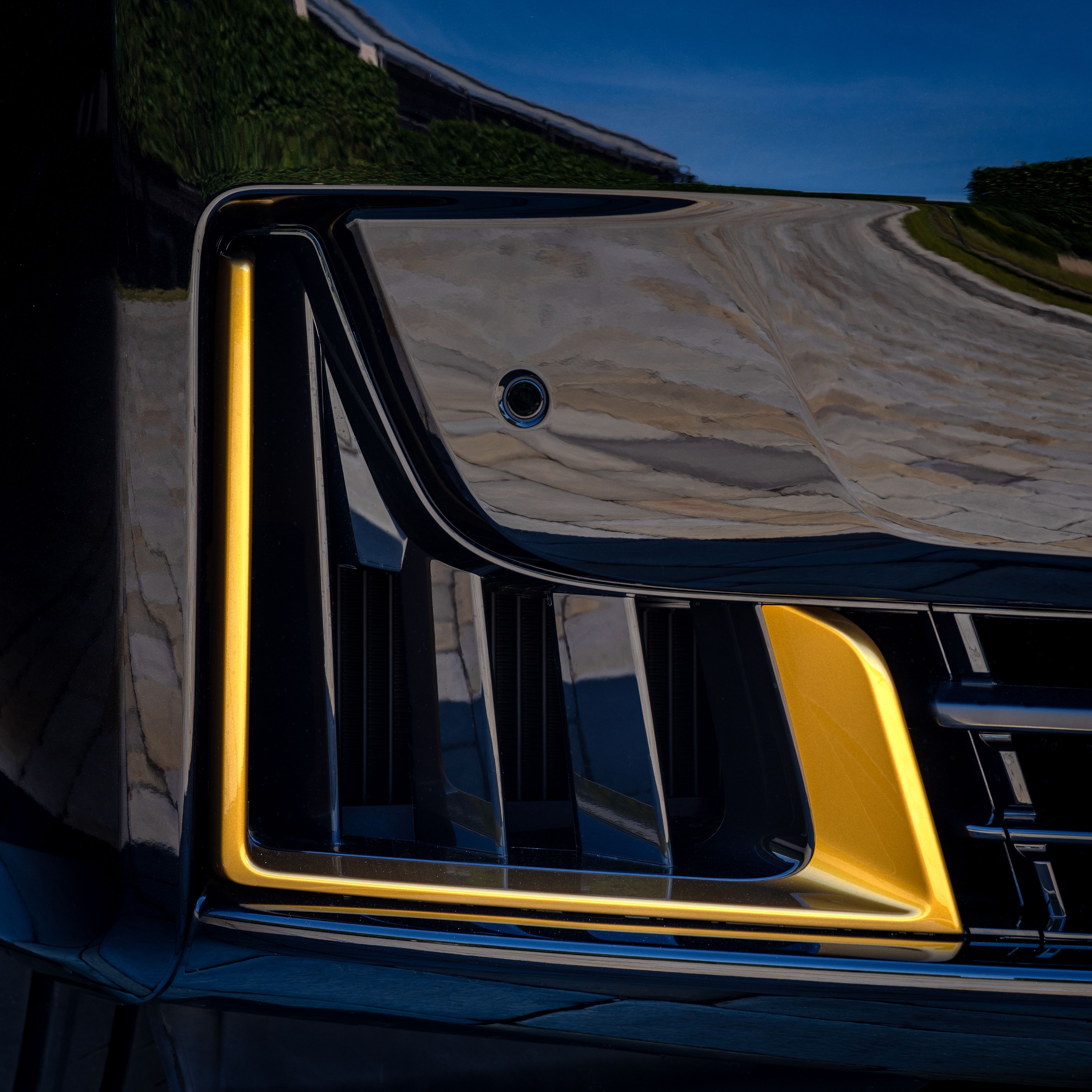 Ghost Black and Gold gold trim