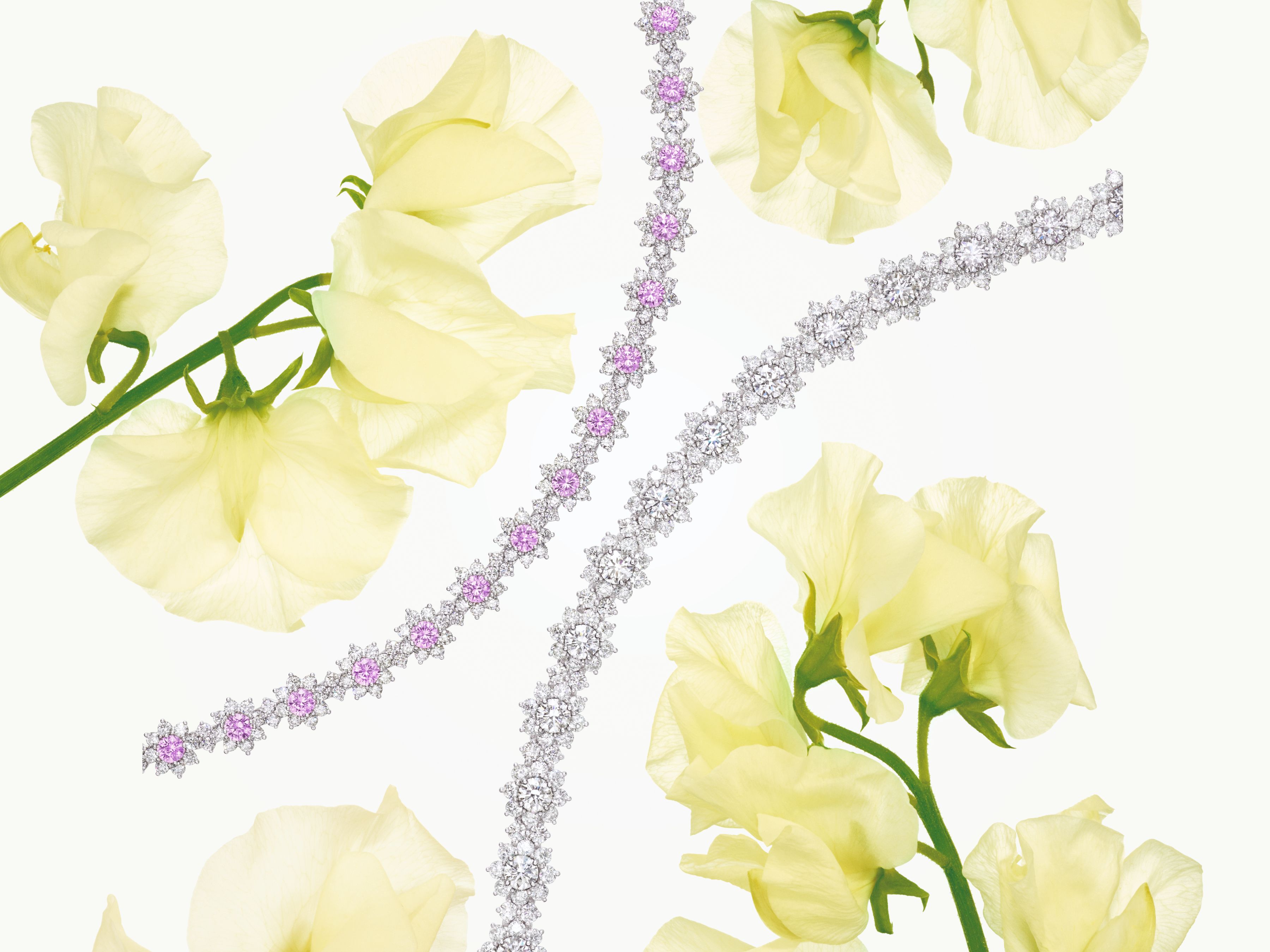 Harry Winston Jewelry Sunflower Collection