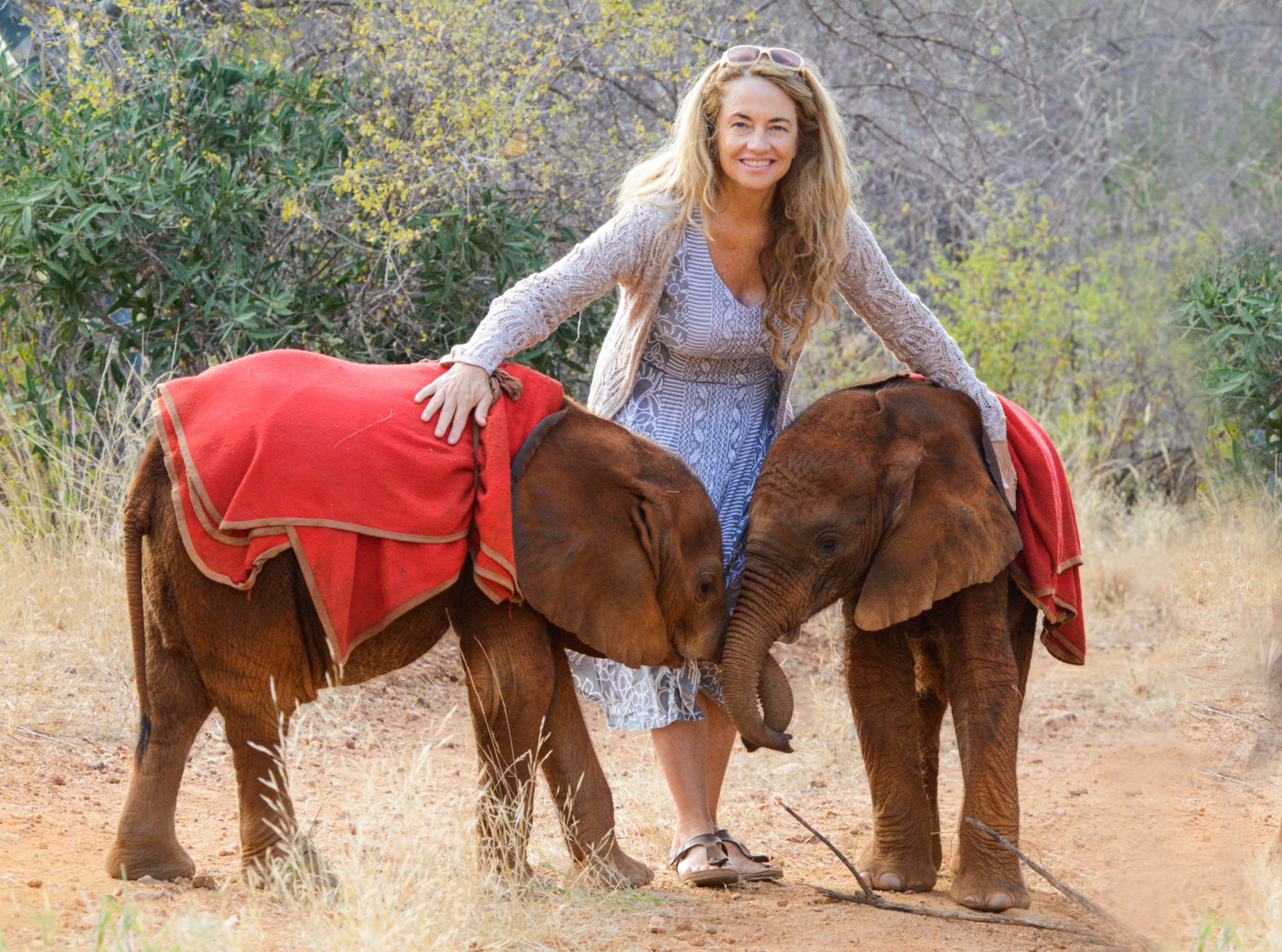Angela Sheldrick, Sheldrick Wildlife Trust