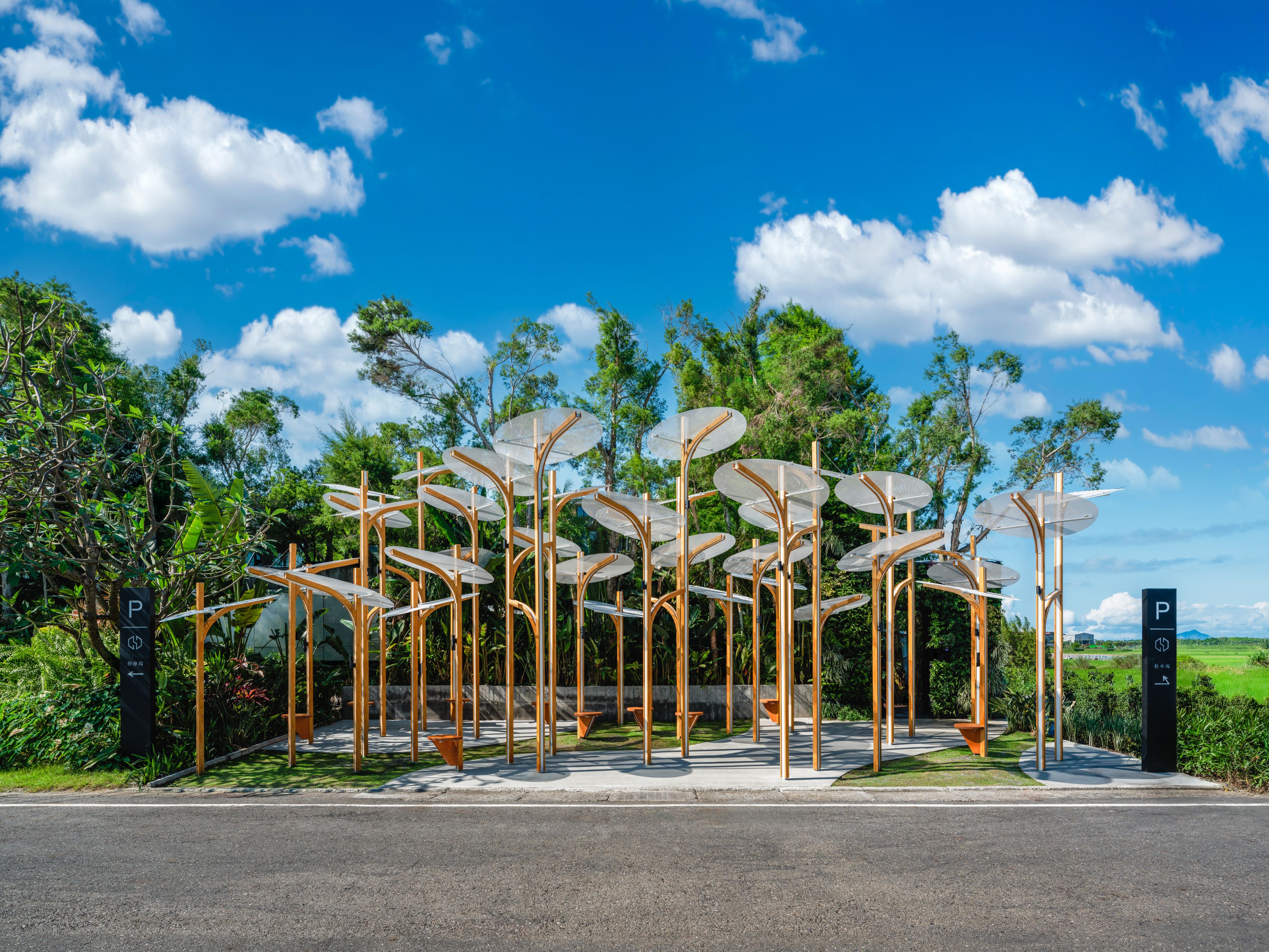 Structural Botany: 25AP-263-43