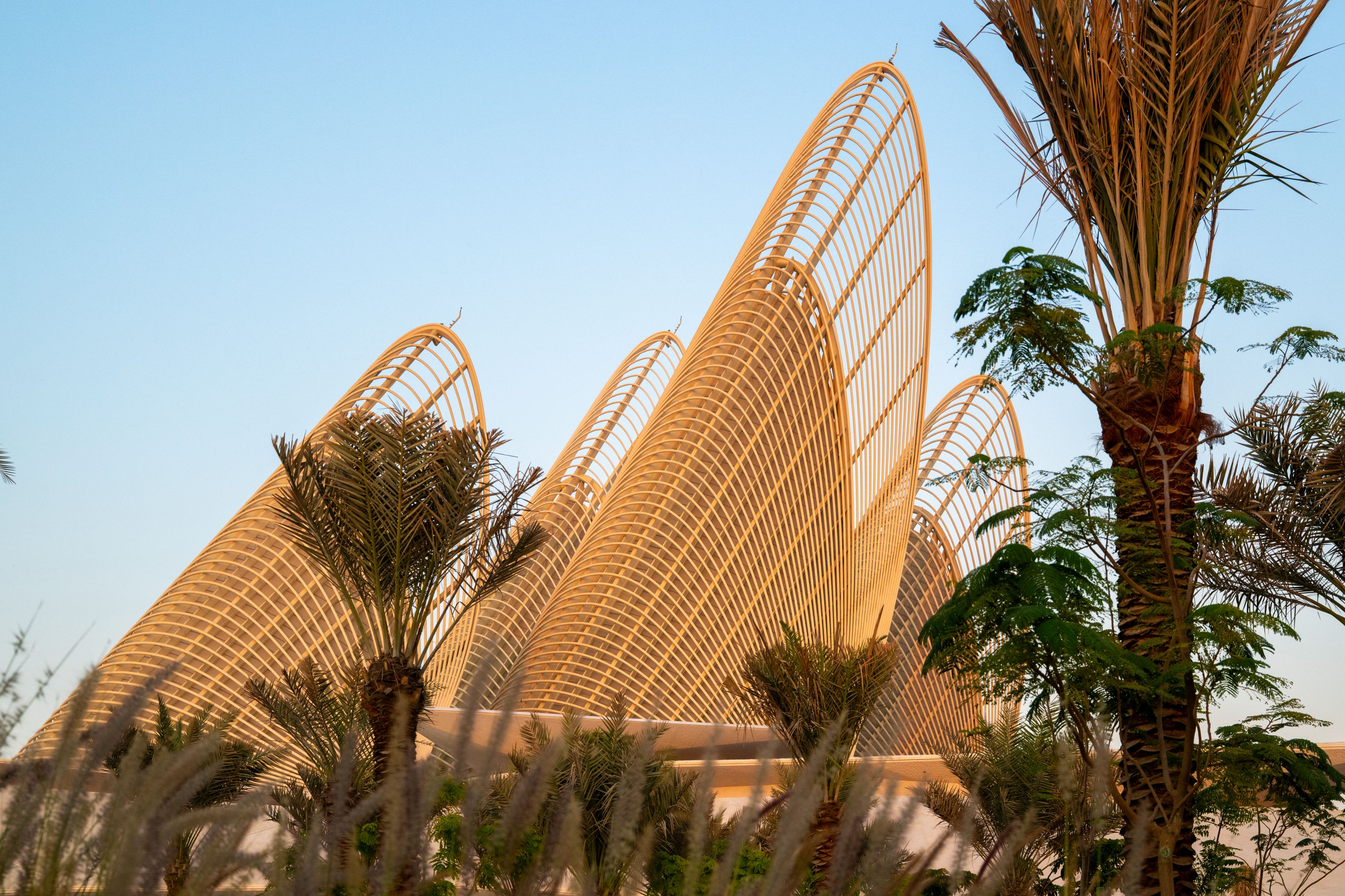 Zayed National Museum - The wings have become markers on the city skyline.