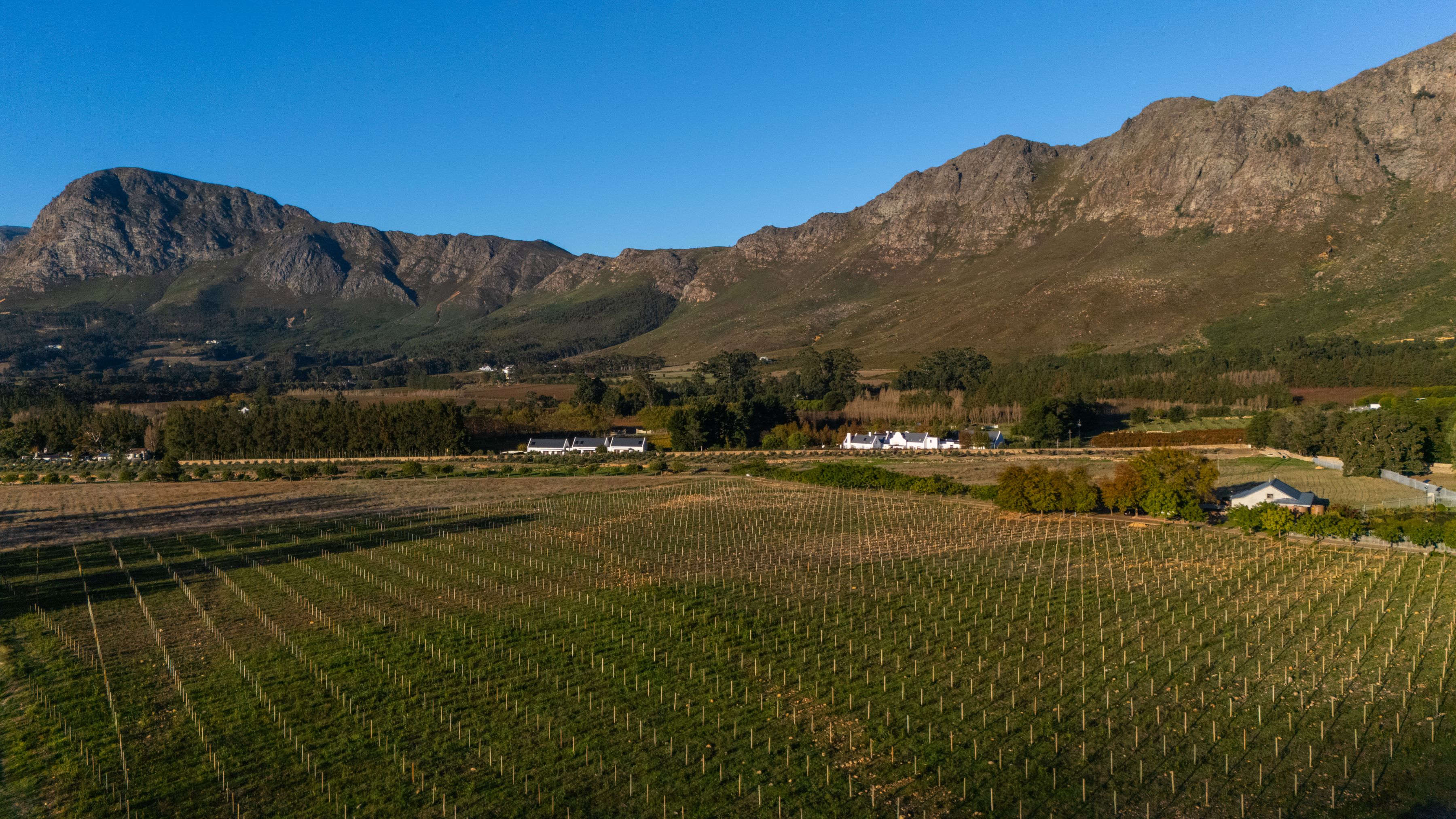 Belle Montagne Wine