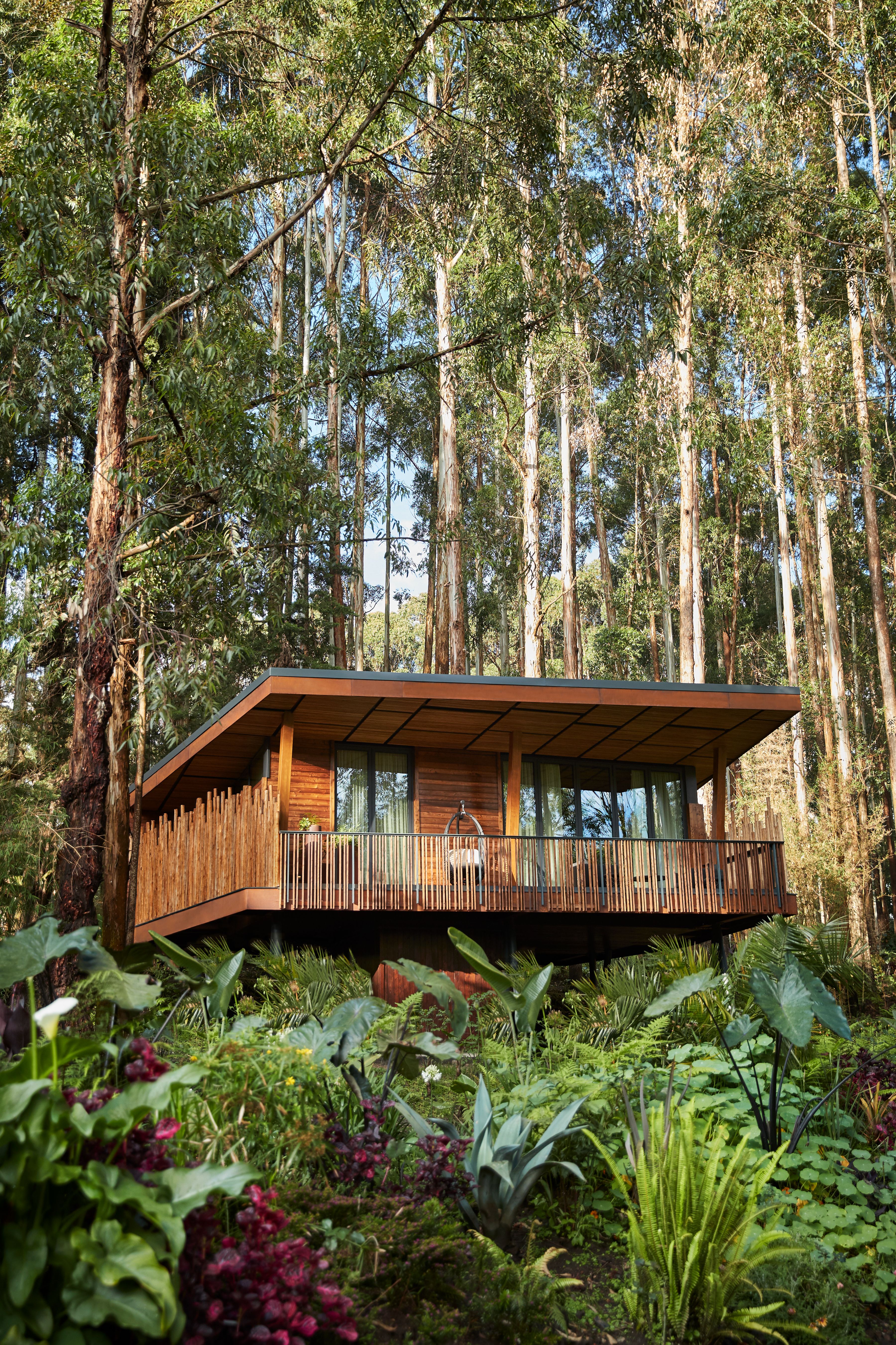 One&Only Gorilla's Nest – Villa