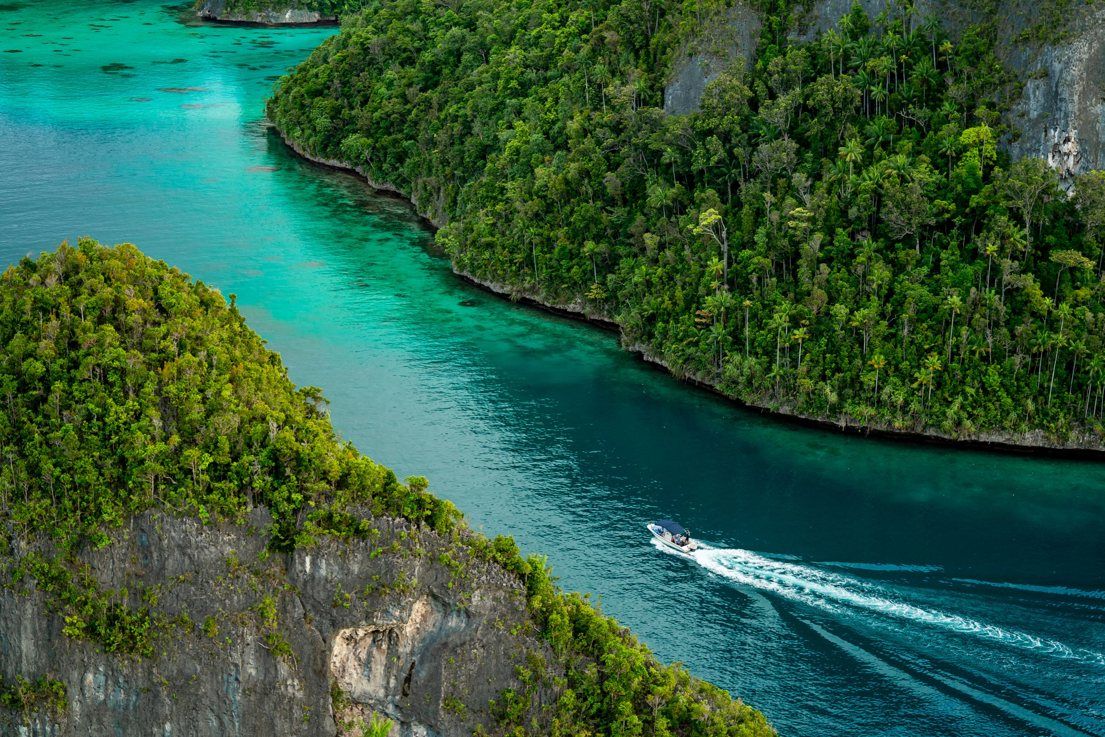 Speedboat in Wayag