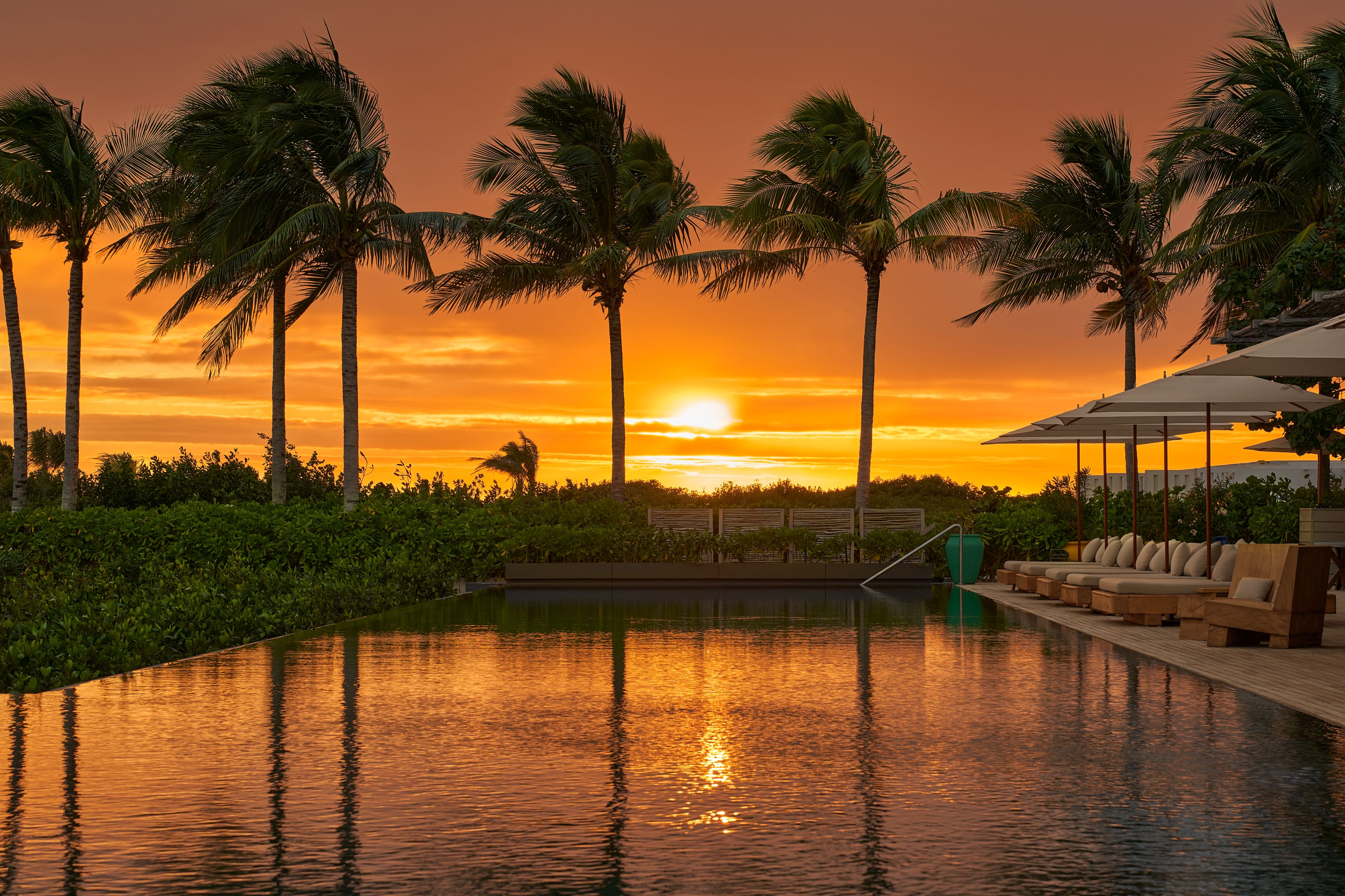 The Riviera Maya EDITION at Kanai - SO'OL Beach Club Pool