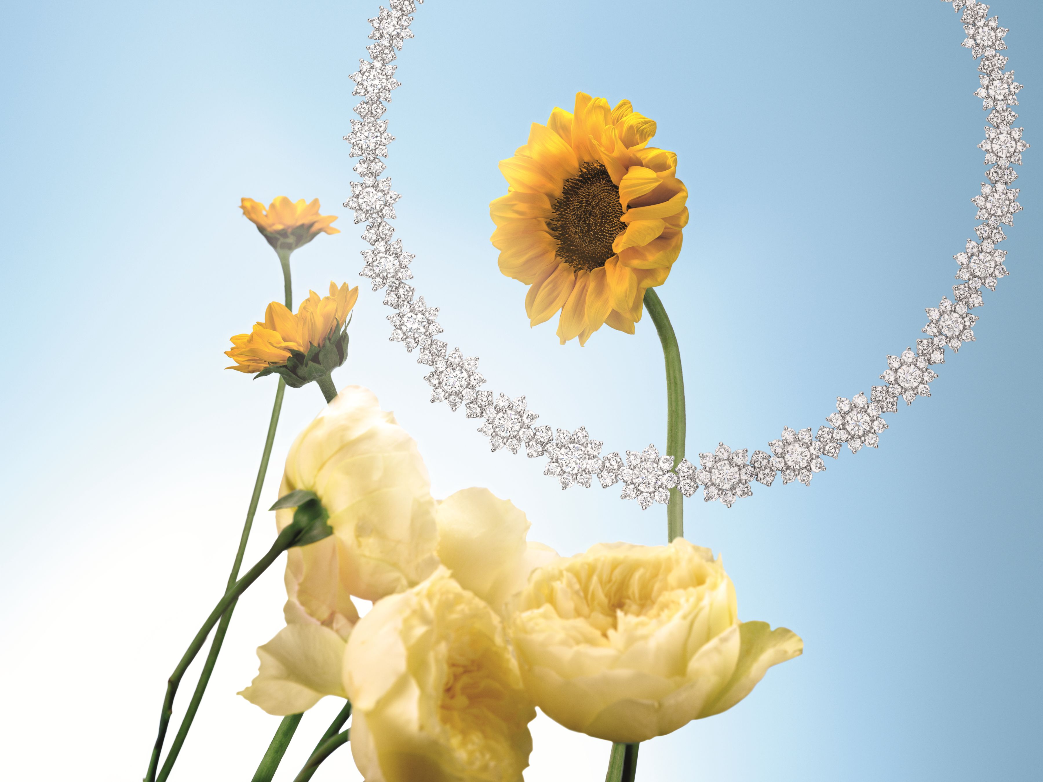 Sunflwoer Collection