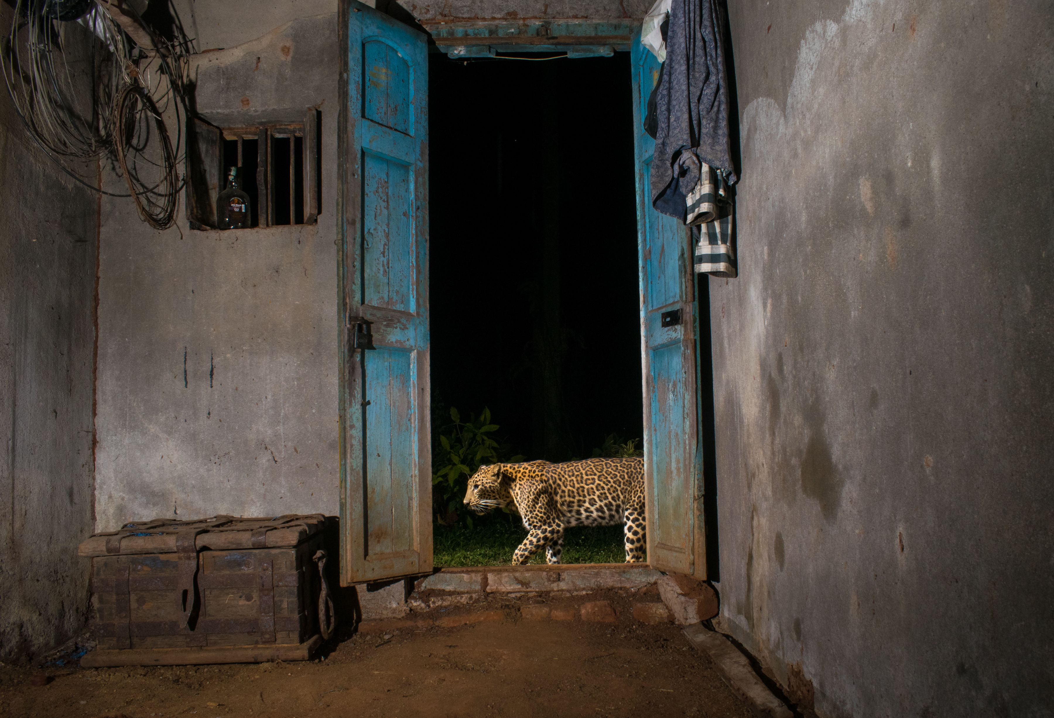Next-door Neighbour
