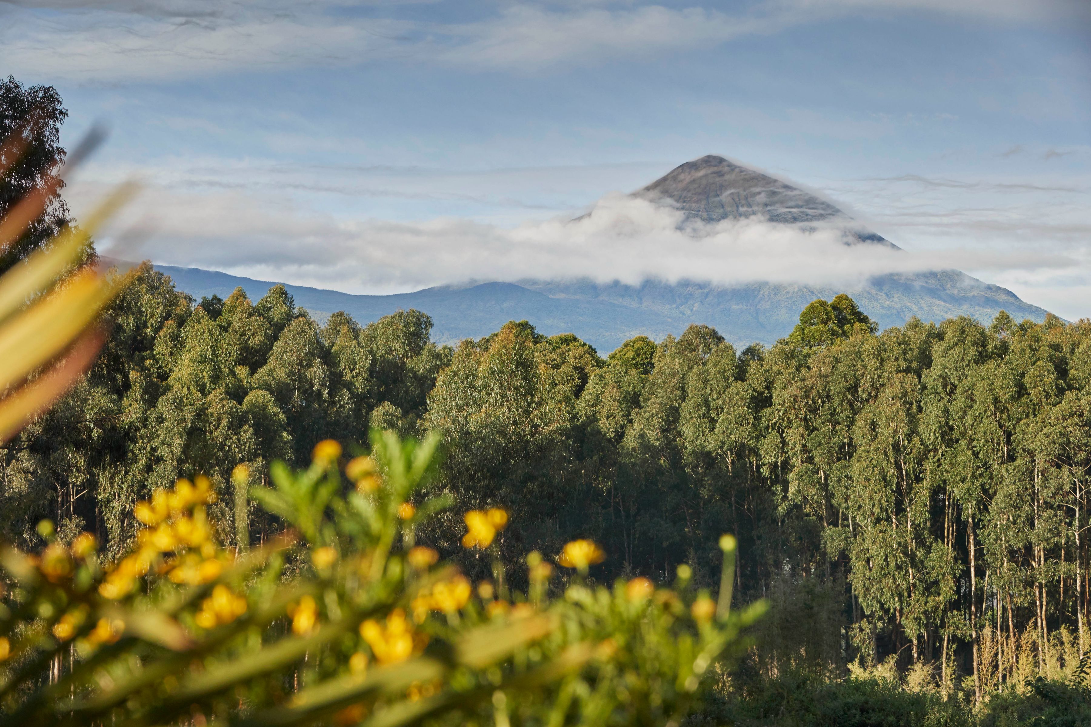 One&Only Gorilla's Nest – A view of the Virunga Mountains