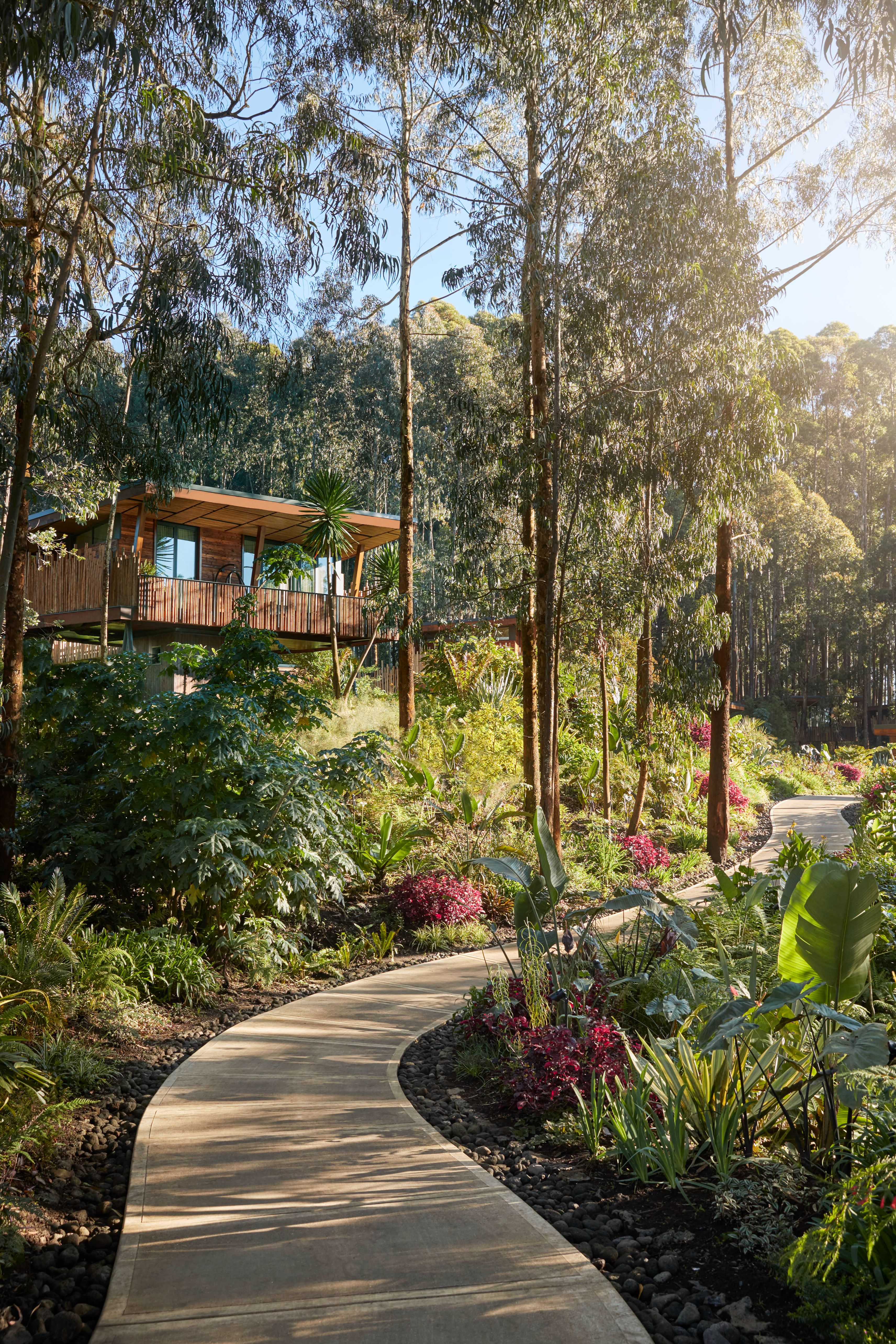 One&Only Gorilla's Nest – Villa