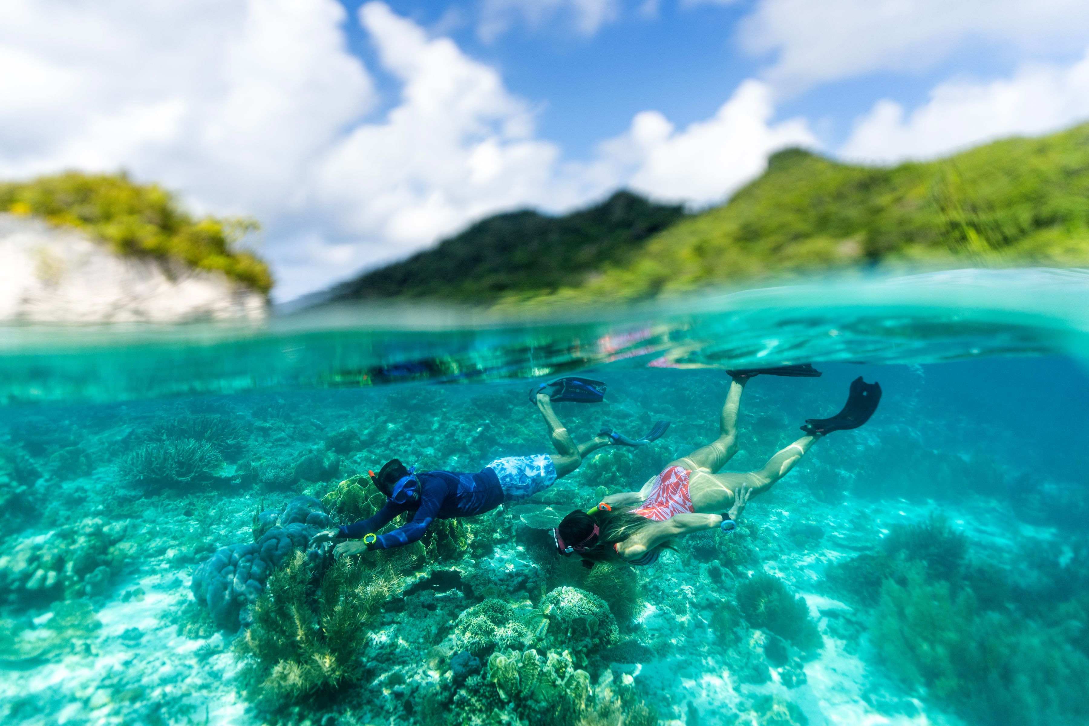 Sequoia Free diving