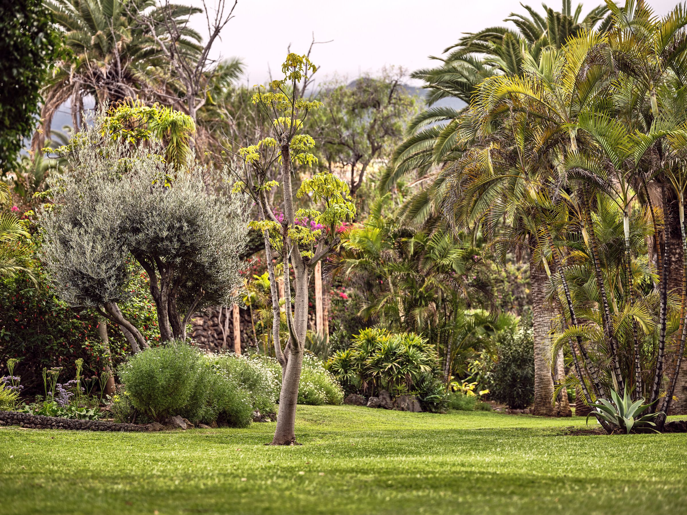 Surrounded by 40,000 m&sup2; of botanical gardens, Precise Resort Tenerife offers an oceanfront retreat for travelers exploring the Canary Islands.