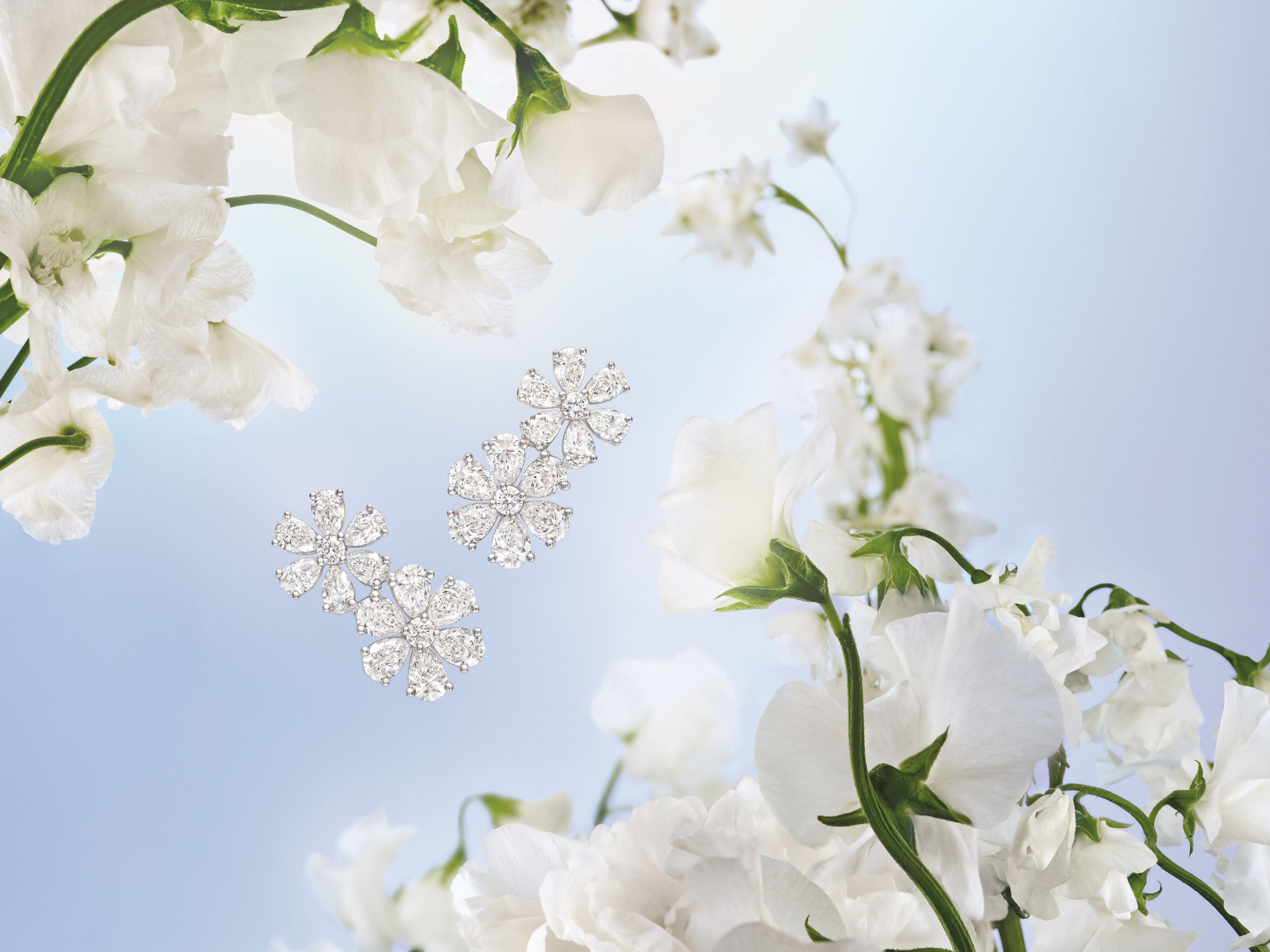 Harry Winston Jewelry Forget-Me-Not Collection