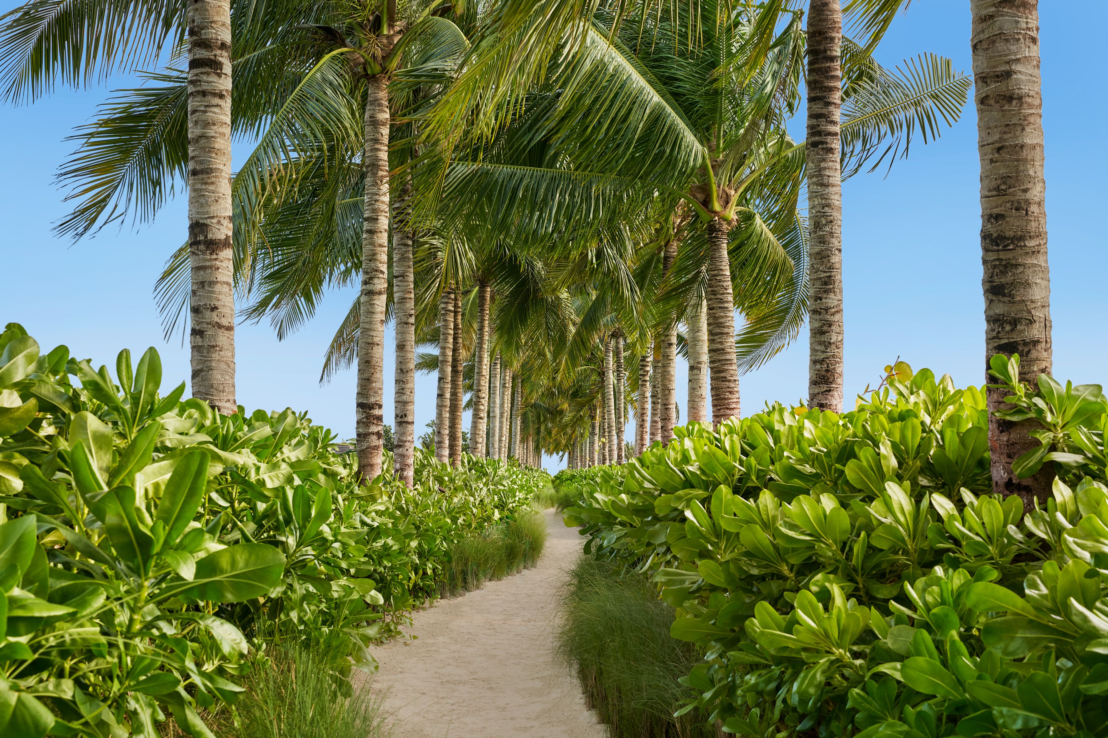 The Riviera Maya EDITION at Kanai - Beach Walkway