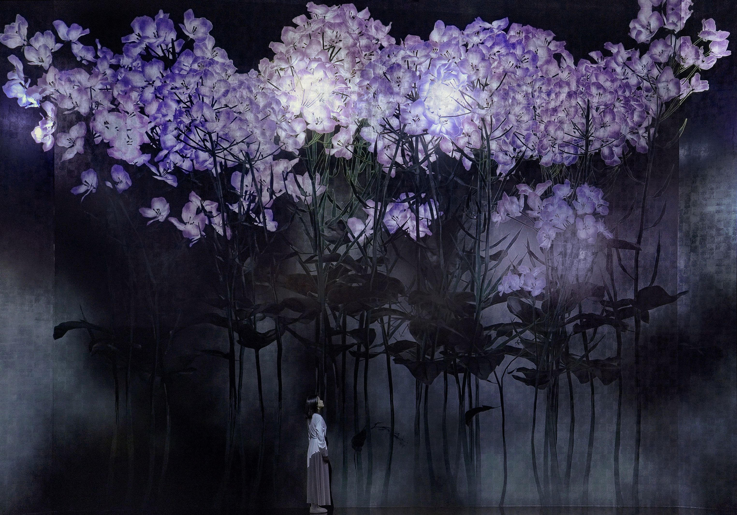 Silent Radiance Within