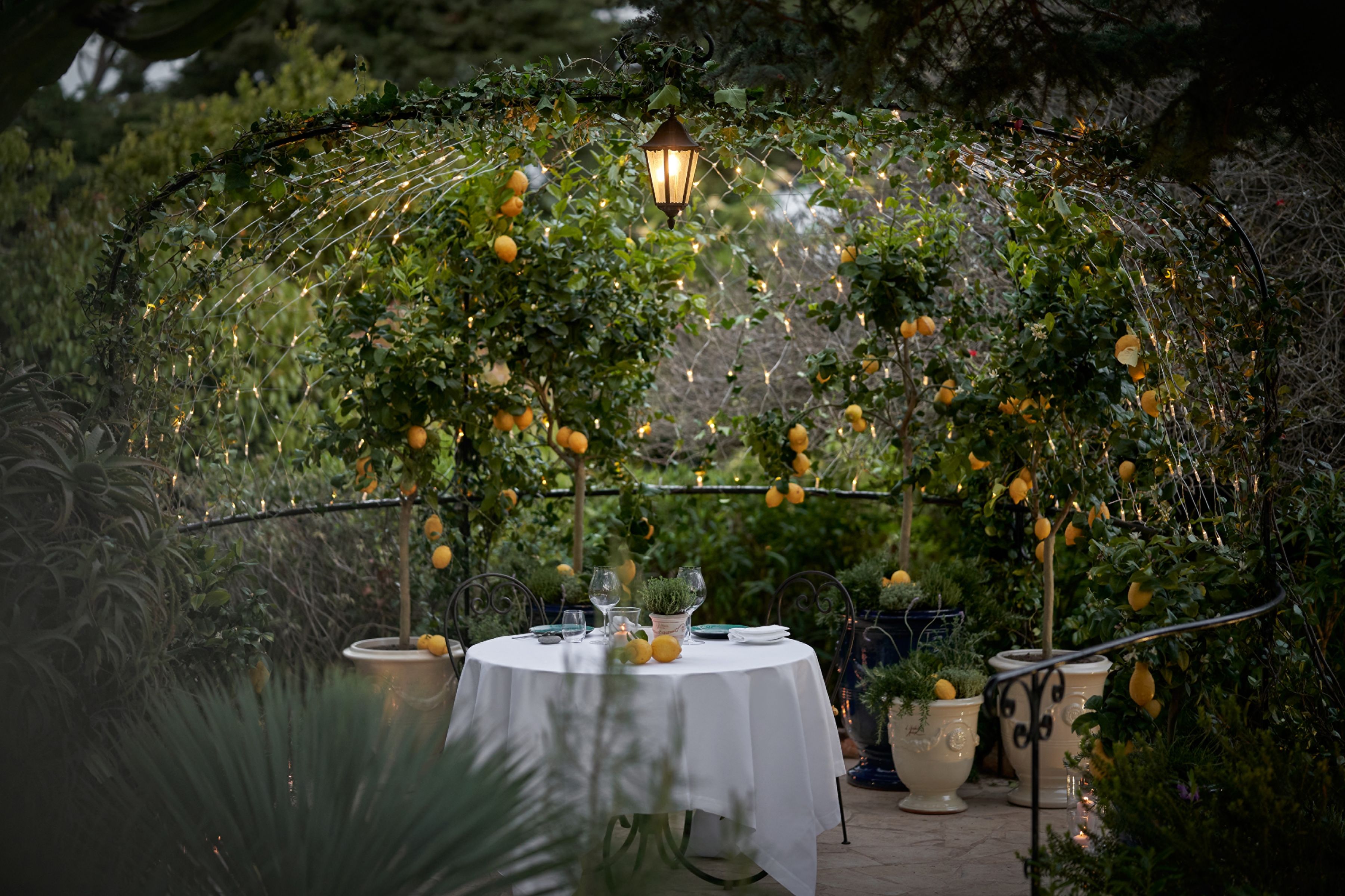 Grand-H&ocirc;tel du Cap-Ferrat, C&ocirc;te d'Azur, France - A private dinner in the secret garden