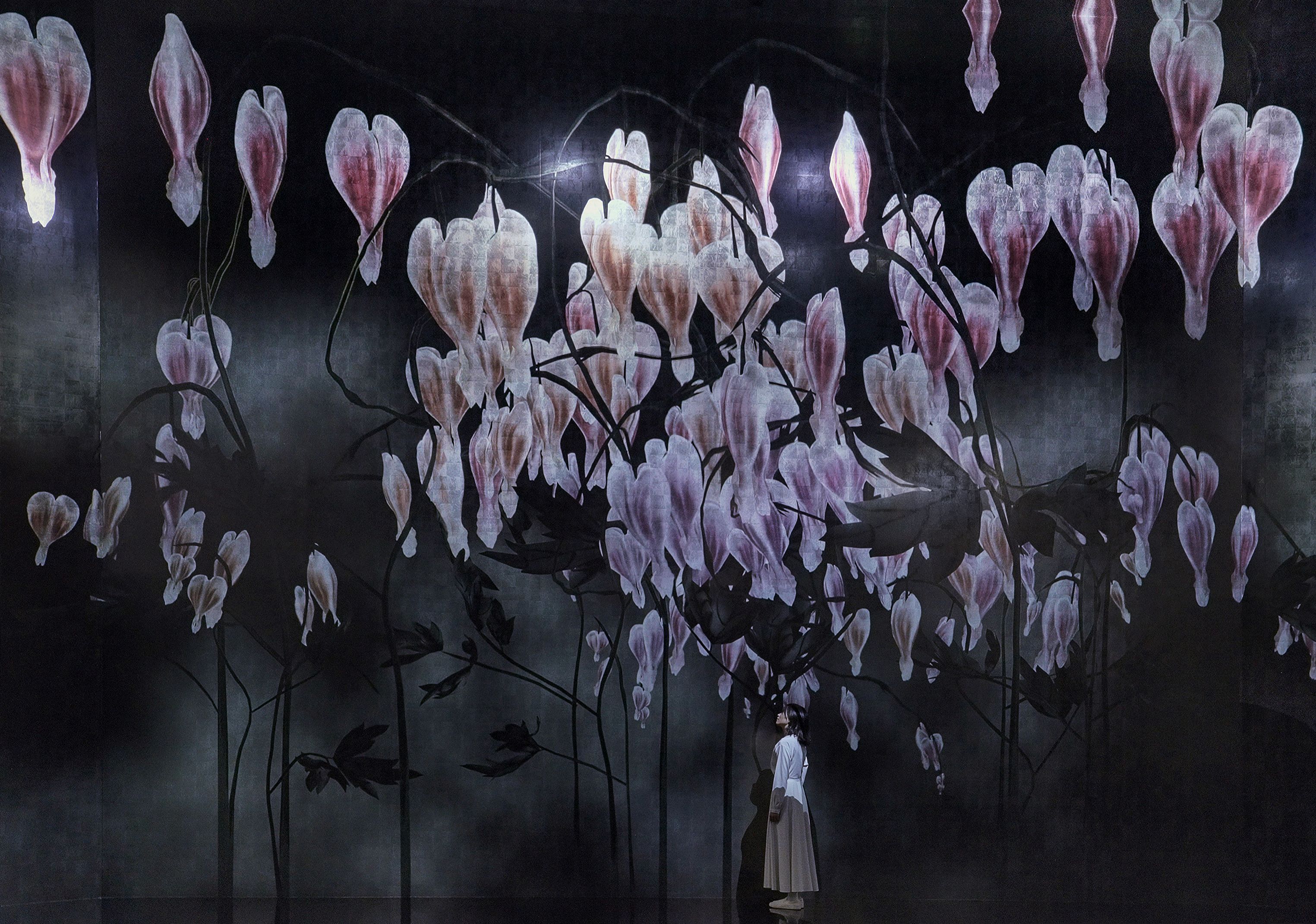 Silent Radiance Within